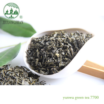 High Mountain china vietnam green matcha tea flecha quality yunwu green tea